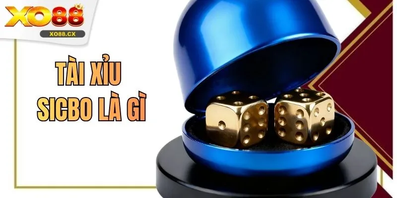 Tài Xỉu Sicbo Là Gì - Giải Nghĩa Từ A Đến Z Cho Người Mới